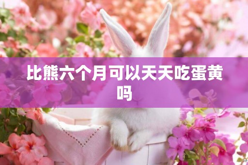 比熊六個月可以天天吃蛋黃嗎