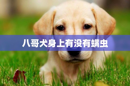 八哥犬身上有沒有螨蟲