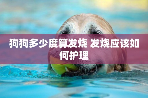 狗狗多少度算發燒 發燒應該如何護理