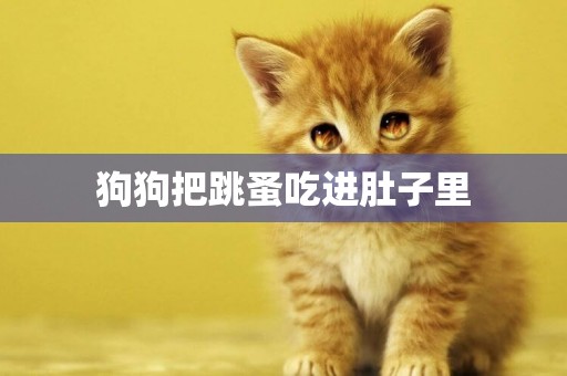 狗狗把跳蚤吃進肚子里