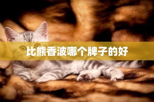 比熊香波哪個牌子的好