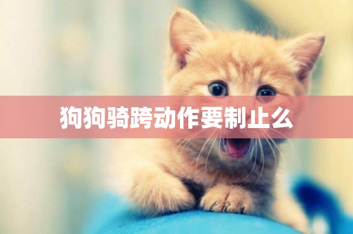 狗狗騎跨動作要制止么