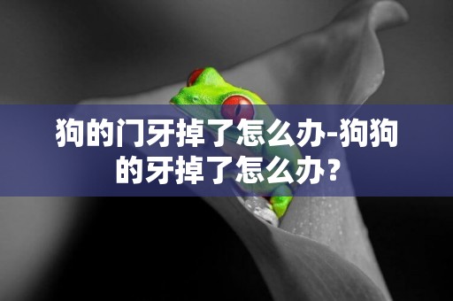 狗的門牙掉了怎么辦-狗狗的牙掉了怎么辦？