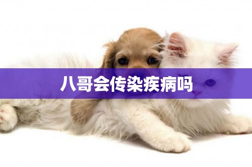 八哥會傳染疾病嗎