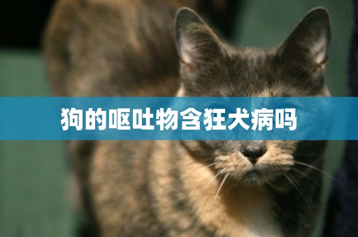狗的嘔吐物含狂犬病嗎