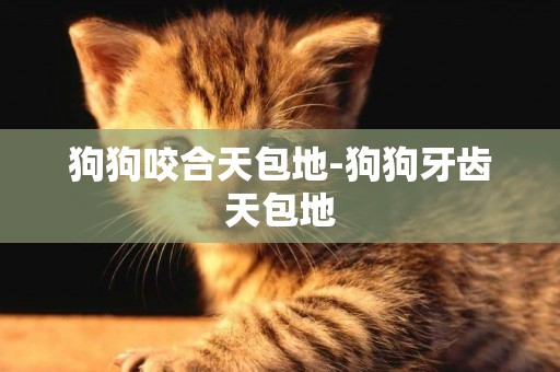 狗狗咬合天包地-狗狗牙齒天包地