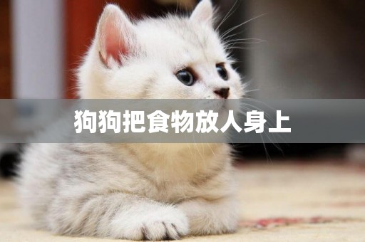 狗狗把食物放人身上