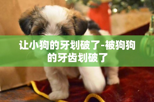 讓小狗的牙劃破了-被狗狗的牙齒劃破了