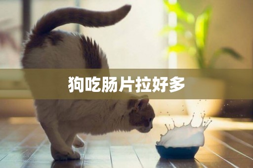 狗吃腸片拉好多