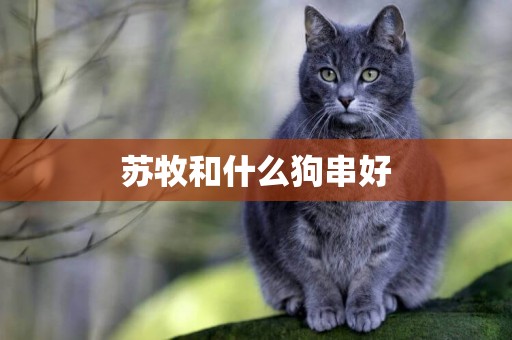 蘇牧和什么狗串好