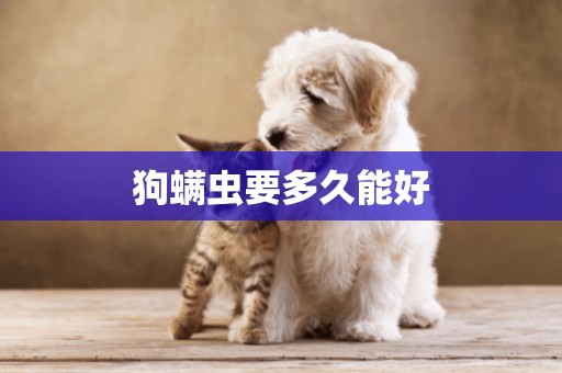 狗螨蟲要多久能好