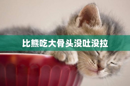 比熊吃大骨頭沒吐沒拉