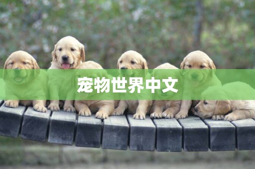 寵物世界中文