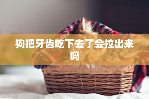 狗把牙齒吃下去了會拉出來嗎