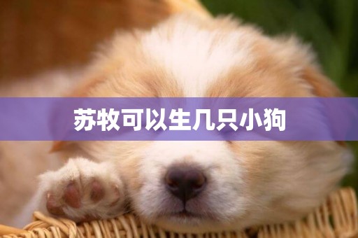 蘇牧可以生幾只小狗