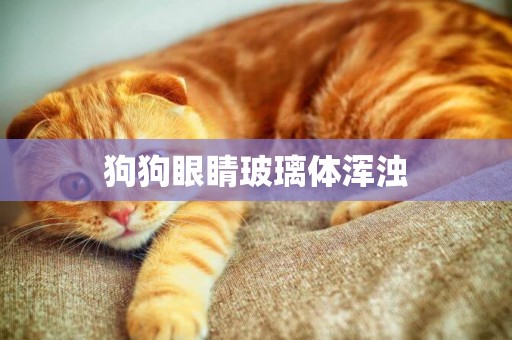 狗狗眼睛玻璃體渾濁