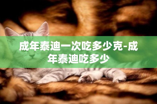 成年泰迪一次吃多少克-成年泰迪吃多少