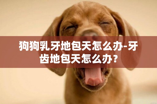 狗狗乳牙地包天怎么辦-牙齒地包天怎么辦？