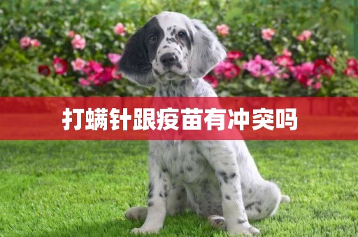 打螨針跟疫苗有沖突嗎