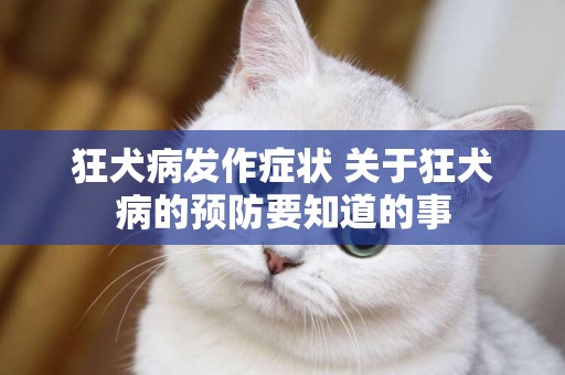 狂犬病發作癥狀 關于狂犬病的預防要知道的事