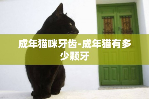 成年貓咪牙齒-成年貓有多少顆牙