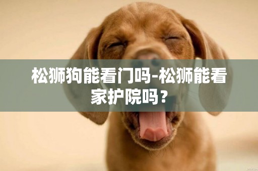 松獅狗能看門嗎-松獅能看家護院嗎？