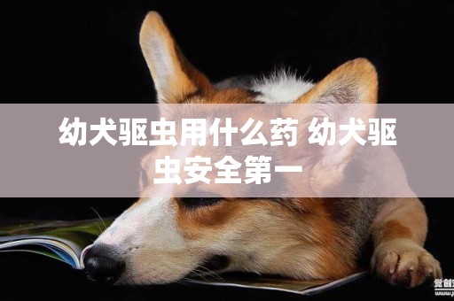 幼犬驅蟲用什么藥 幼犬驅蟲安全第一