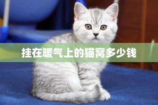 掛在暖氣上的貓窩多少錢