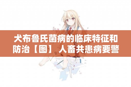 犬布魯氏菌病的臨床特征和防治【圖】 人畜共患病要警惕
