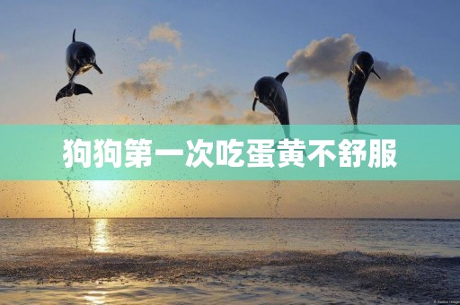 狗狗第一次吃蛋黃不舒服