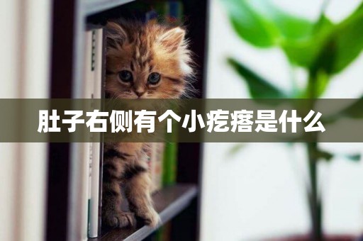 肚子右側有個小疙瘩是什么