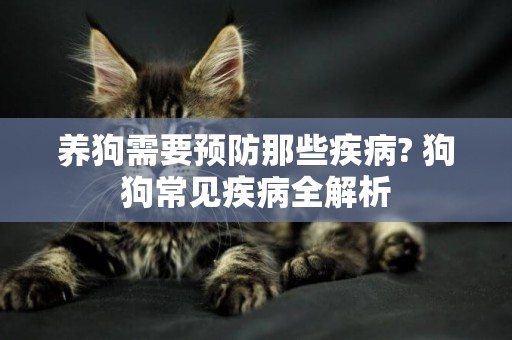 養狗需要預防那些疾病? 狗狗常見疾病全解析