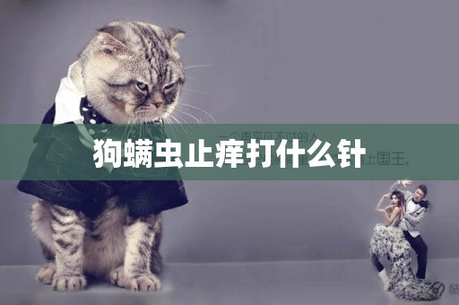 狗螨蟲止癢打什么針