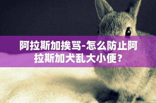 阿拉斯加挨罵-怎么防止阿拉斯加犬亂大小便？