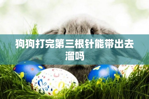 狗狗打完第三根針能帶出去溜嗎