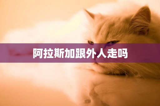 阿拉斯加跟外人走嗎