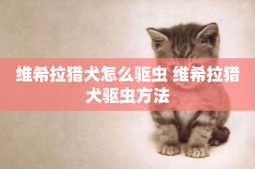 維希拉獵犬怎么驅蟲 維希拉獵犬驅蟲方法