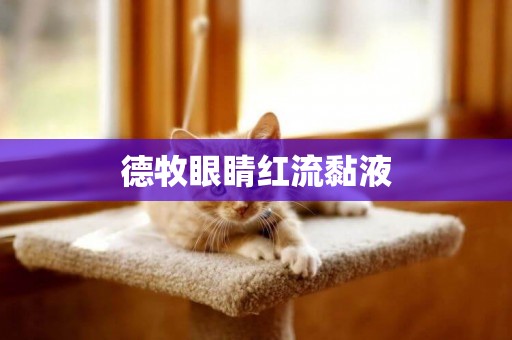 德牧眼睛紅流黏液