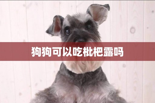 狗狗可以吃枇杷露嗎