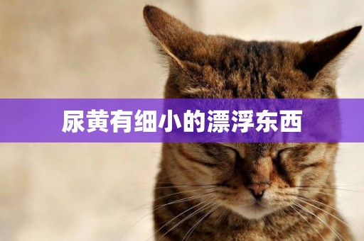 尿黃有細小的漂浮東西