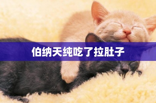 伯納天純吃了拉肚子