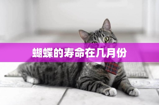 蝴蝶的壽命在幾月份