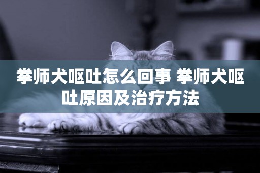 拳師犬嘔吐怎么回事 拳師犬嘔吐原因及治療方法