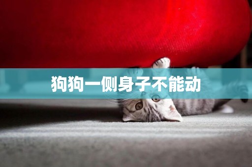 狗狗一側身子不能動