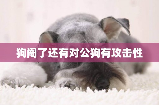 狗閹了還有對公狗有攻擊性