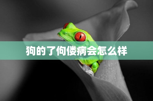 狗的了佝僂病會怎么樣