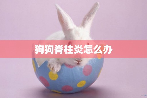 狗狗脊柱炎怎么辦