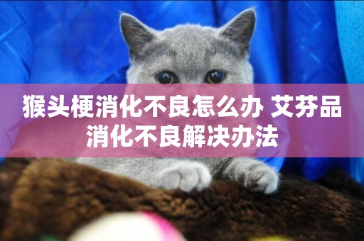 猴頭梗消化不良怎么辦 艾芬品消化不良解決辦法