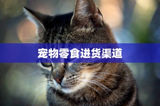 寵物零食進貨渠道