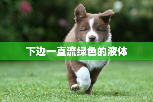 下邊一直流綠色的液體